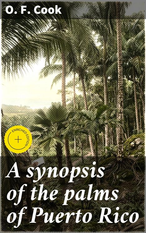 Produktbild: A synopsis of the palms of Puerto Rico
