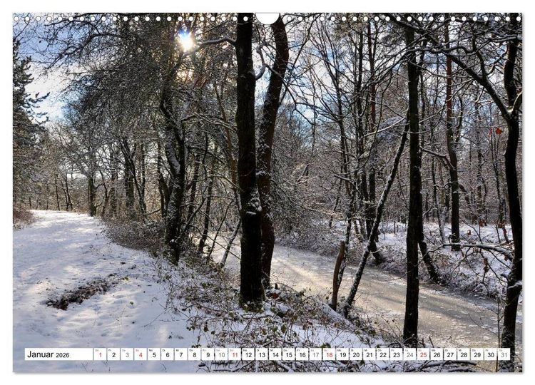Produktbild: Wege gehen... (Wandkalender 2026 DIN A3 quer), CALVENDO Monatskalender