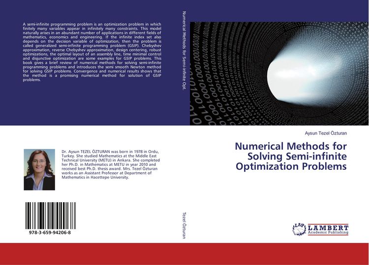 Produktbild: Numerical Methods for Solving Semi-infinite Optimization Problems