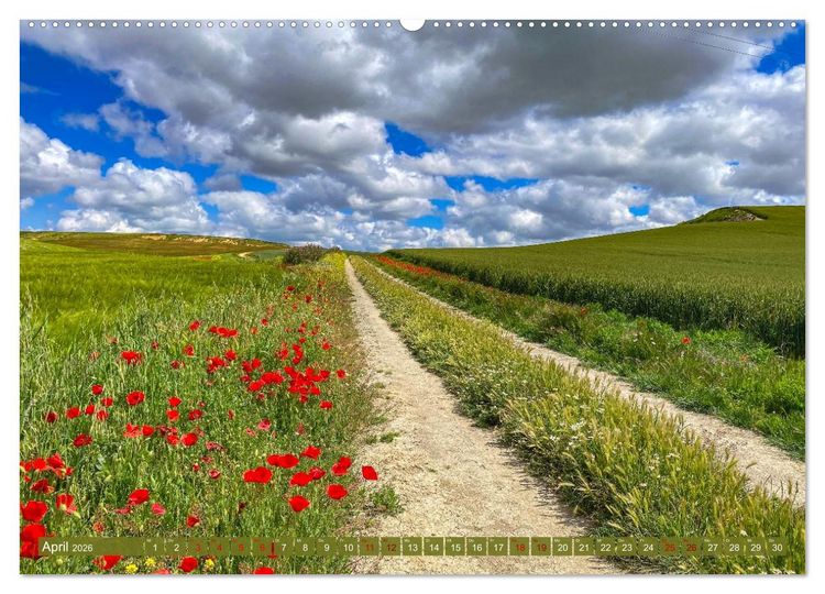 Produktbild: Augenblicke der Ruhe (Wandkalender 2026 DIN A2 quer), CALVENDO Monatskalender