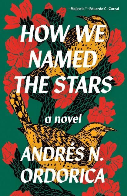 Produktbild: How We Named the Stars