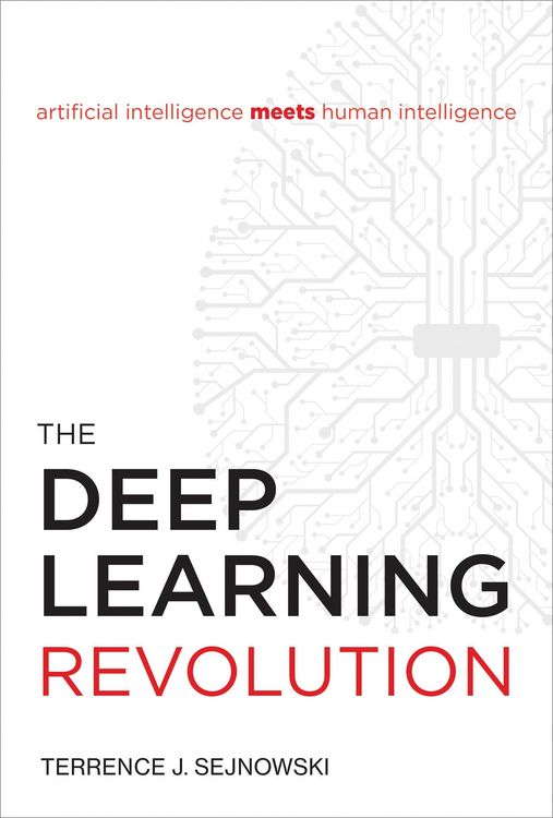 Produktbild: The Deep Learning Revolution