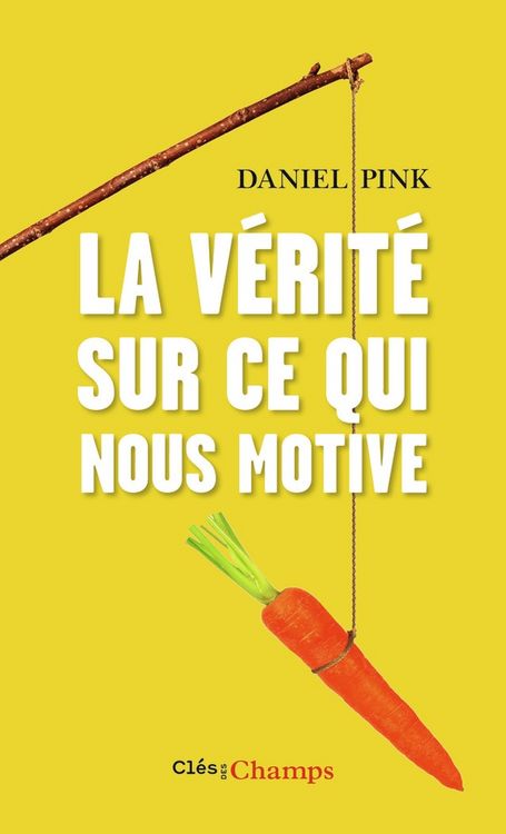 Produktbild: Pink, D: V&eacute;rit&eacute; sur ce qui nous motive