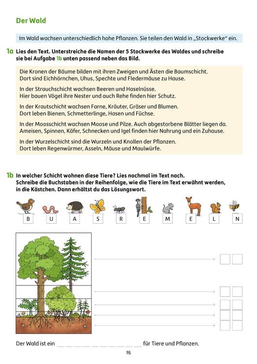 Produktbild: Erfolgreich durch die 3. Klasse &ndash; Mathe, Deutsch, Sachunterricht