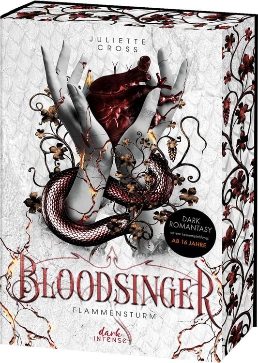 Produktbild: Flammensturm (Band 2) - Bloodsinger