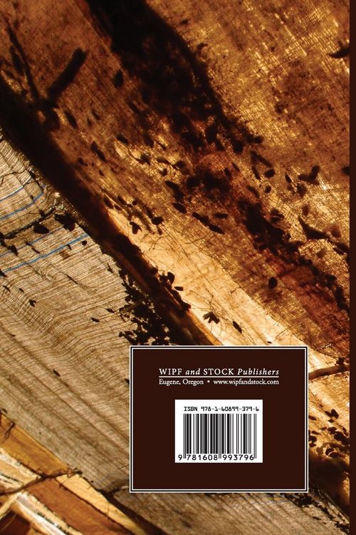 Produktbild: Institutes of the Christian Religion Vol. 2