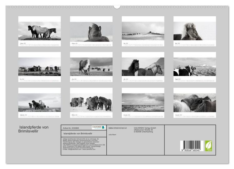 Produktbild: Islandpferde von Brimilsvellir (hochwertiger Premium Wandkalender 2026 DIN A2 quer), Kunstdruck in Hochglanz