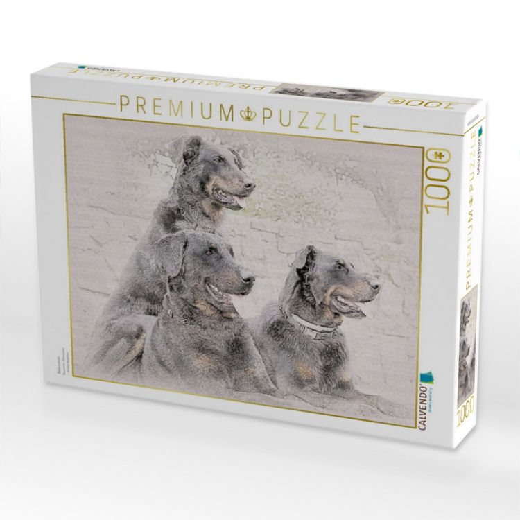 Produktbild: CALVENDO Puzzle Beauceron | 1000 Teile Lege-Gr&ouml;&szlig;e 64x48cm Foto-Puzzle f&uuml;r gl&uuml;ckliche Stunden