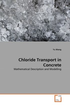 Produktbild: Wang, Y: Chloride Transport in Concrete
