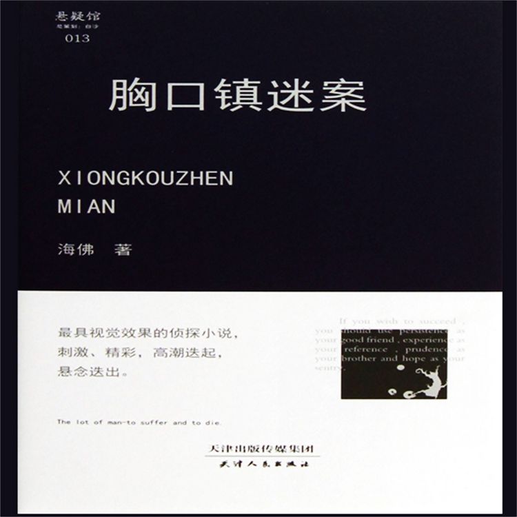Produktbild: 胸口镇迷案