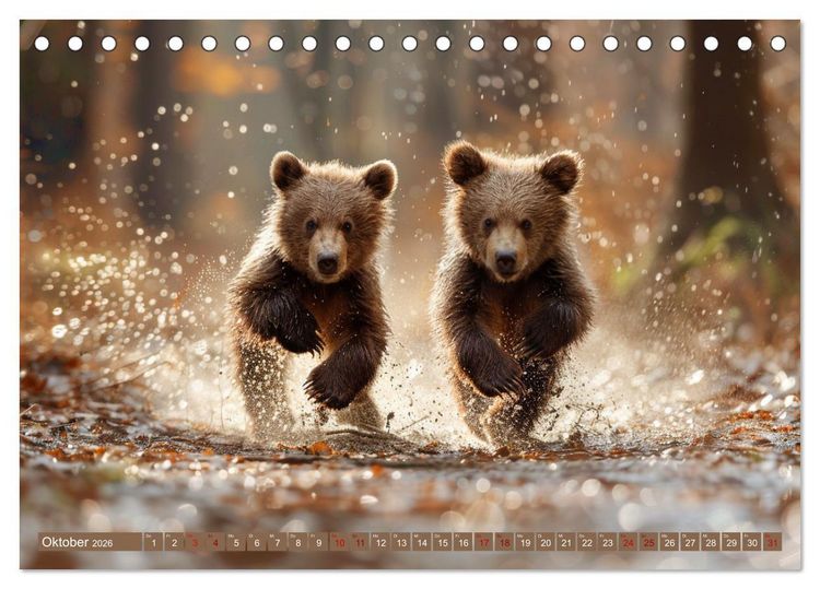 Produktbild: Wildes B&auml;renland (Tischkalender 2026 DIN A5 quer), CALVENDO Monatskalender
