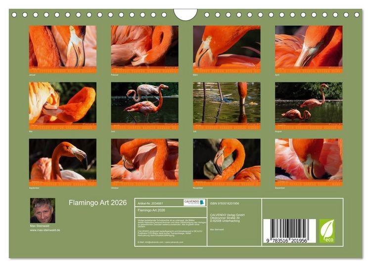 Produktbild: Flamingo Art 2026 (Wandkalender 2026 DIN A4 quer), CALVENDO Monatskalender