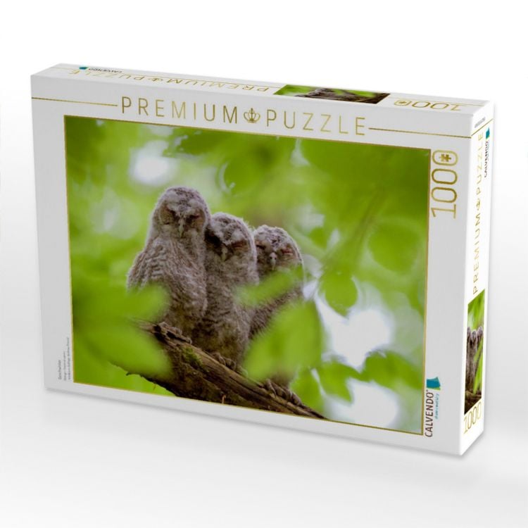 Produktbild: CALVENDO Puzzle Geschwister | 1000 Teile Lege-Gr&ouml;&szlig;e 64x48cm Foto-Puzzle f&uuml;r gl&uuml;ckliche Stunden