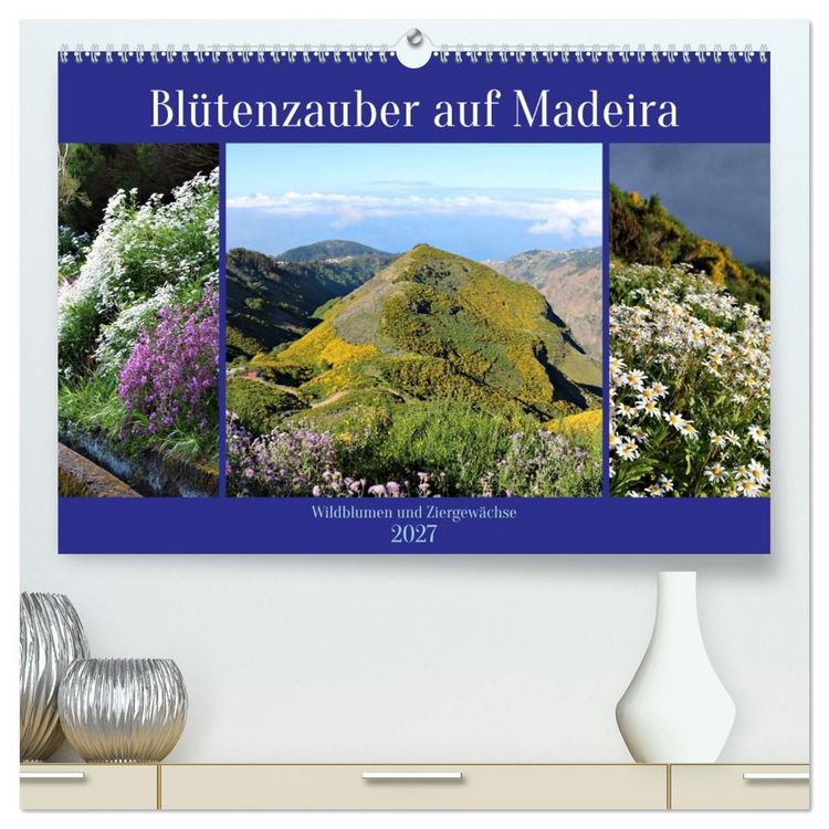 Produktbild: Bl&uuml;tenzauber auf Madeira. Wildblumen und Ziergew&auml;chse (hochwertiger Premium Wandkalender 2027 DIN A2 quer), Kunstdruck in Hochglanz