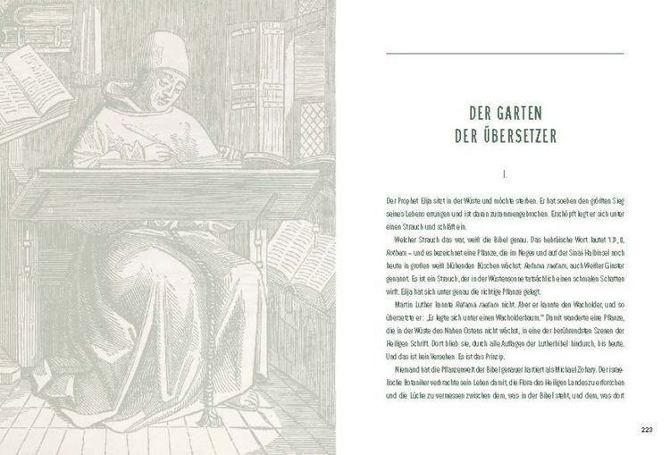 Produktbild: Der Garten der Bibel
