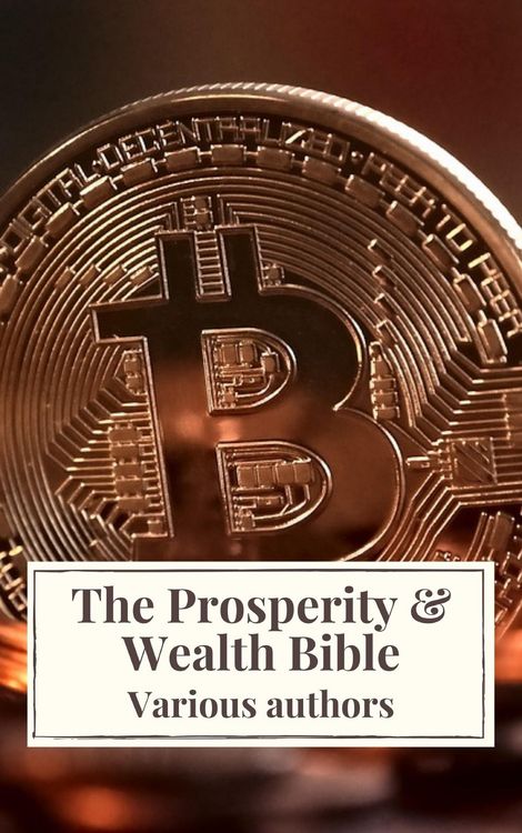 Produktbild: The Prosperity & Wealth Bible