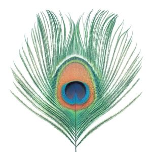Produktbild: Apple Venus (Vol.1) (200 Gramm Vinyl)