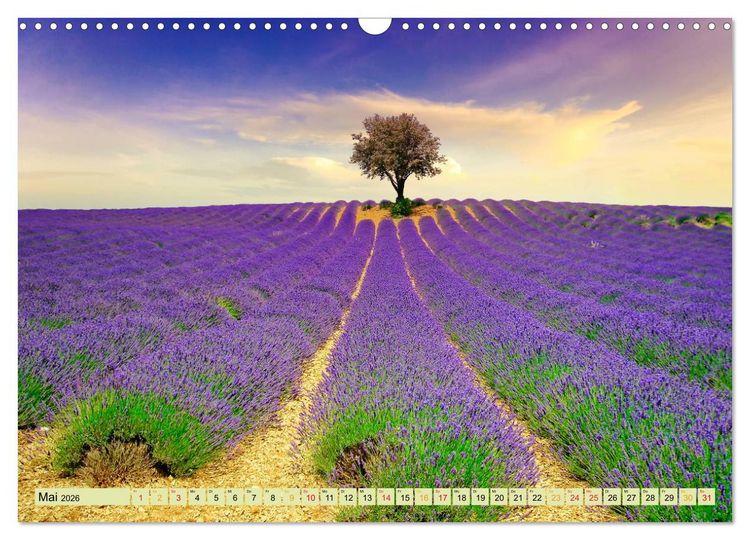 Produktbild: Traum-Ziele - Lavendel der Provence, Frankreich (Wandkalender 2026 DIN A3 quer), CALVENDO Monatskalender