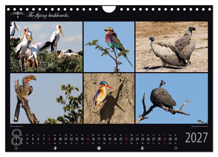 Produktbild: Botswana Blickwinkel 2027 (Wandkalender 2027 DIN A4 quer), CALVENDO Monatskalender