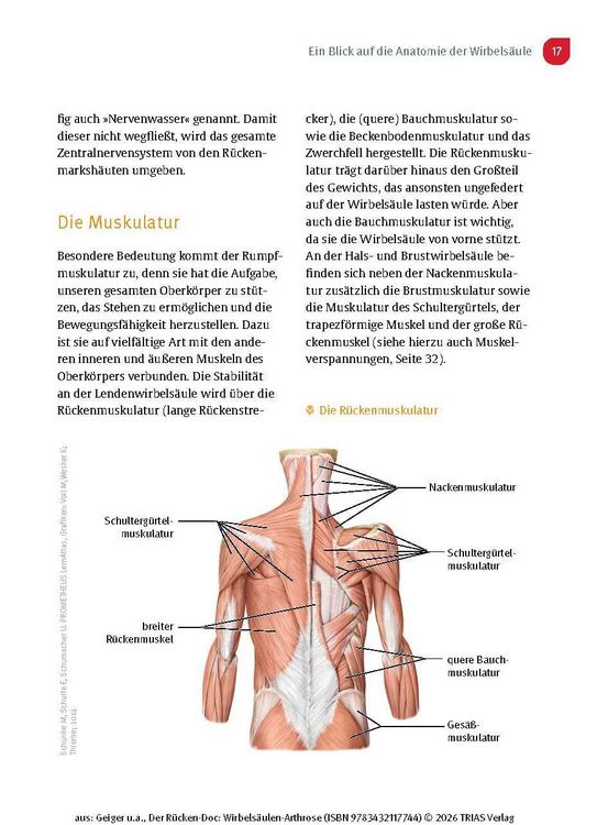 Produktbild: Der R&uuml;cken-Doc: Wirbels&auml;ulen-Arthrose