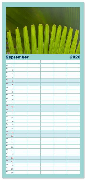 Produktbild: Familienplaner 2026 - Seychellen - unterwegs mit Julia Hahn mit 5 Spalten (Wandkalender, 21 x 45 cm) CALVENDO