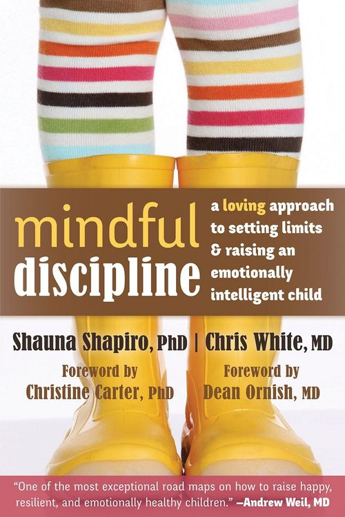Produktbild: Mindful Discipline