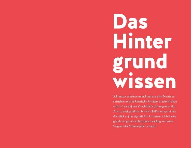 Produktbild: Die Schmerzfalle