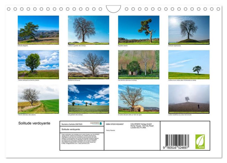 Produktbild: Solitude verdoyante (Calendrier mural 2026 DIN A4 vertical), CALVENDO calendrier mensuel