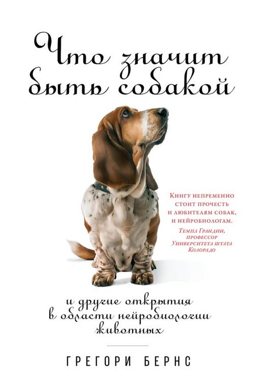 Produktbild: What It's Like to Be a Dog: And Other Adventures in Animal Neuroscience