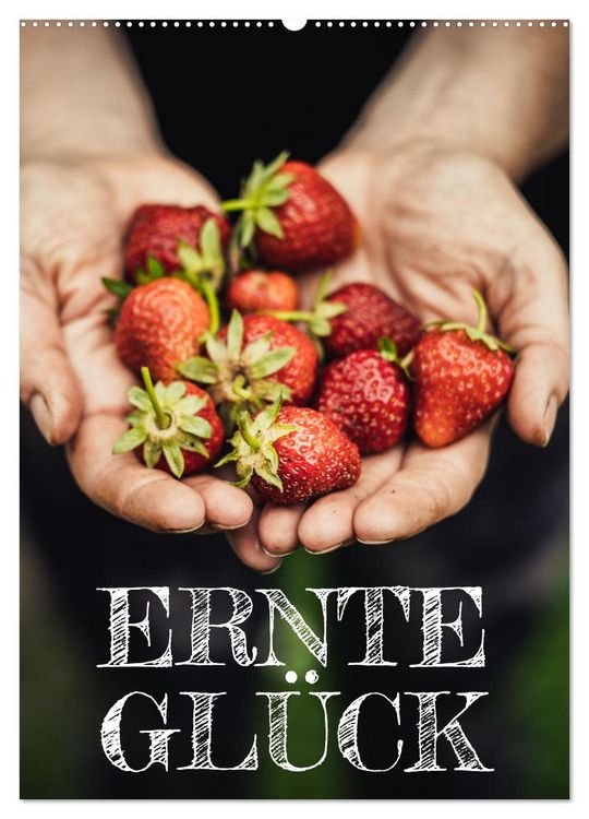 Produktbild: Erntegl&uuml;ck (Wandkalender 2026 DIN A2 hoch), CALVENDO Monatskalender