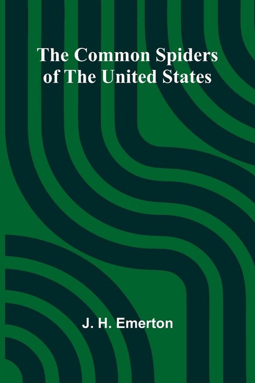 Produktbild: The Common Spiders Of The United States