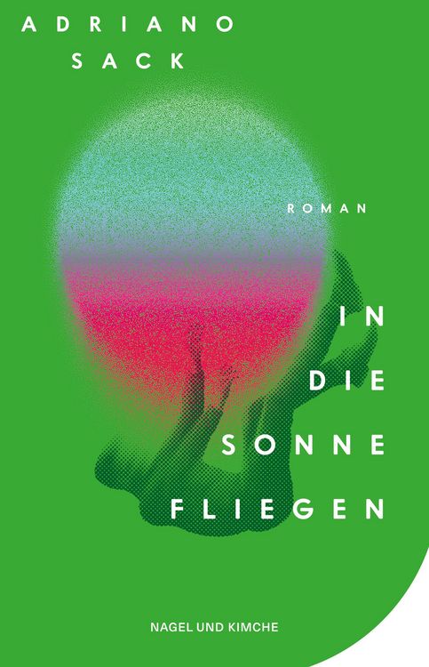 Produktbild: In die Sonne fliegen