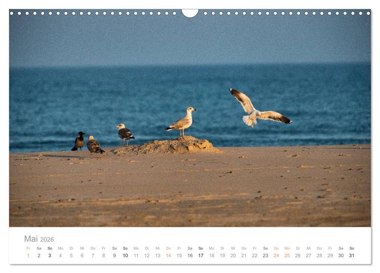 Produktbild: Traumziel D&auml;nemark (Wandkalender 2026 DIN A3 quer), CALVENDO Monatskalender