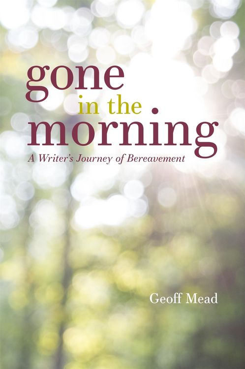 Produktbild: Gone in the Morning