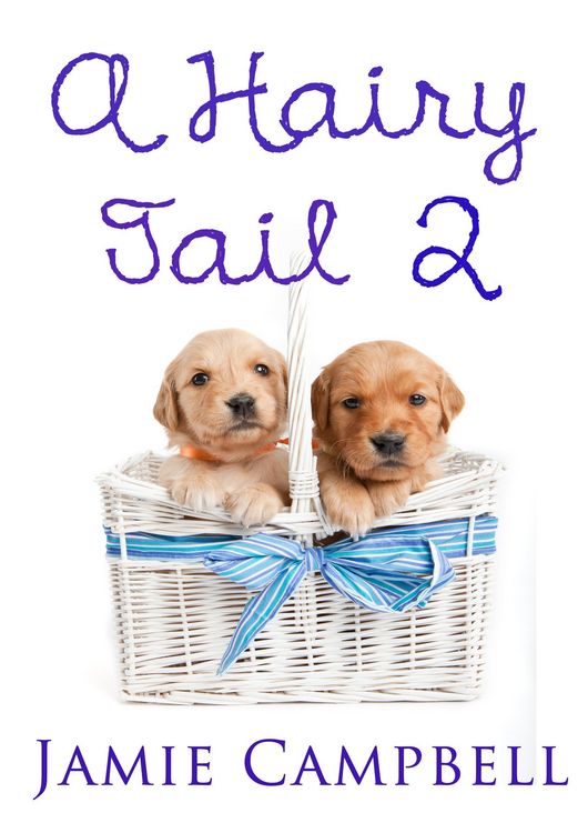 Produktbild: A Hairy Tail 2