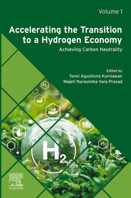 Produktbild: Accelerating the Transition to a Hydrogen Economy