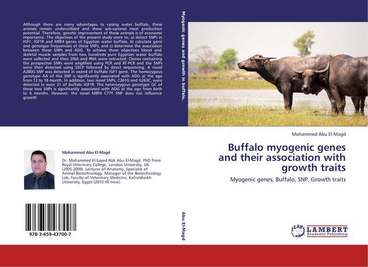 Produktbild: Buffalo myogenic genes and their association with growth traits
