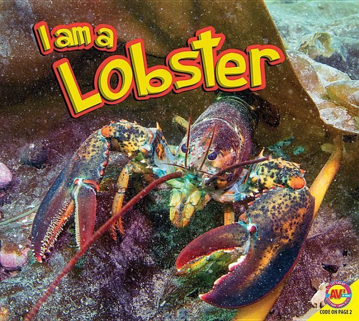 Produktbild: I Am a Lobster