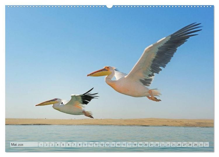 Produktbild: Afrikas Tierwelt Christian Heeb (hochwertiger Premium Wandkalender 2026 DIN A2 quer), Kunstdruck in Hochglanz