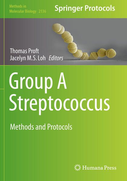 Produktbild: Group A Streptococcus