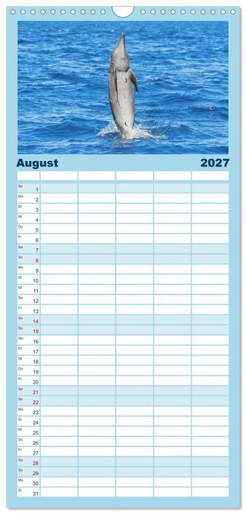 Produktbild: Familienplaner 2027 - Delfine: Elegante Wellenreiter mit 5 Spalten (Wandkalender, 21 x 45 cm) CALVENDO