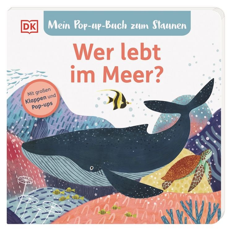 Produktbild: Mein Pop-up-Buch zum Staunen. Wer lebt im  Meer?