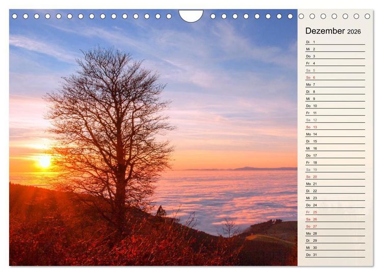 Produktbild: Auf Schusters Rappen... S&uuml;dlicher Oberrhein und S&uuml;dschwarzwald (Wandkalender 2026 DIN A4 quer), CALVENDO Monatskalender