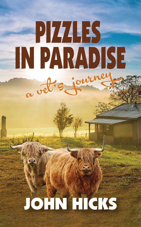 Produktbild: Pizzles in Paradise (An English Vet's Life in New Zealand, #1)