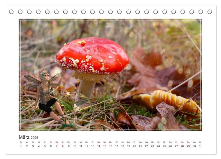 Produktbild: Pilze im Elfenwald (Tischkalender 2026 DIN A5 quer), CALVENDO Monatskalender