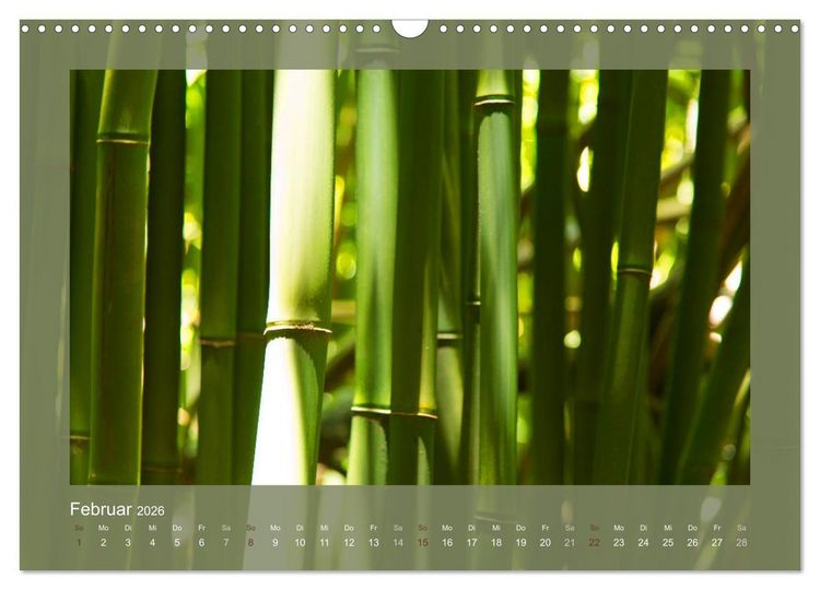 Produktbild: Bambus (Wandkalender 2026 DIN A3 quer), CALVENDO Monatskalender