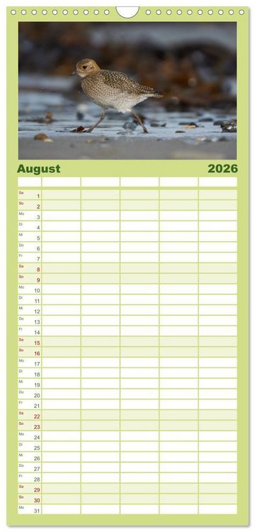 Produktbild: Familienplaner 2026 - Wilde Vogelwelt Helgoland mit 5 Spalten (Wandkalender, 21 x 45 cm) CALVENDO