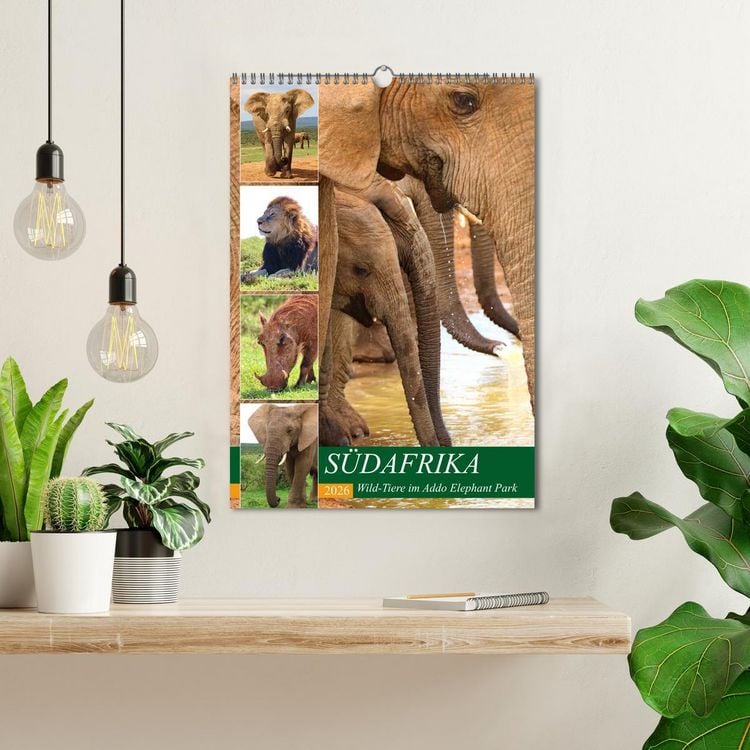 Produktbild: S&Uuml;DAFRIKA Wild-Tiere im Addo Elephant Park (Wandkalender 2026 DIN A3 hoch), CALVENDO Monatskalender