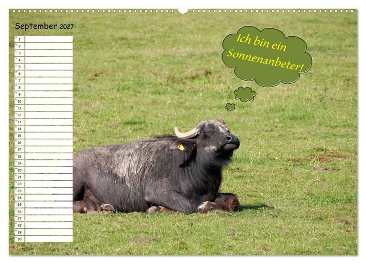Produktbild: Wenn Tiere Sprechen k&ouml;nnten! Der lustige Spr&uuml;che Geburtstagskalender (Wandkalender 2027 DIN A2 quer), CALVENDO Monatskalender