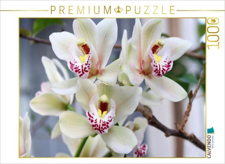 Produktbild: CALVENDO Puzzle Zarte Kahnorchidee, Cymbidium | 1000 Teile Lege-Gr&ouml;&szlig;e 64x48cm Foto-Puzzle f&uuml;r gl&uuml;ckliche Stunden